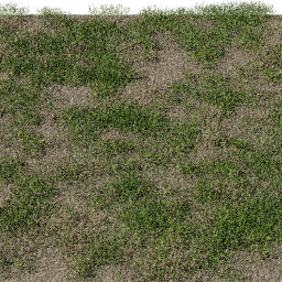 Grass Basic A spring summer