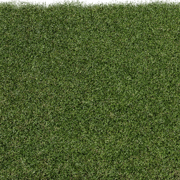 Grass Cut A spring summer