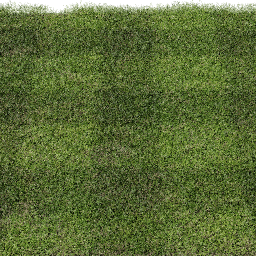 Grass Cut grid B spring summer
