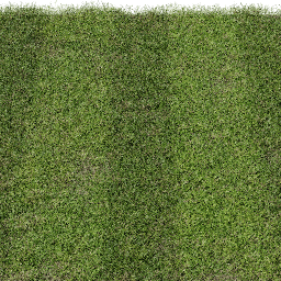 Grass Cut striped A spring summer