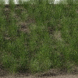 Grass Decorative B spring summer