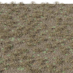 Grass Dry with leaves A summer autumn