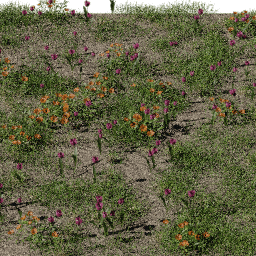 Grass Flowers decorative B spring summer