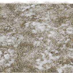 Grass Snow B winter