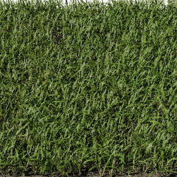 Grass Strands Mixed B spring summer
