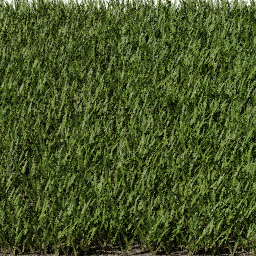 Grass Strands Straight C spring summer