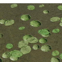 Lilypads Victoria B spring summer