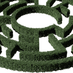 Hedge circular small A summer