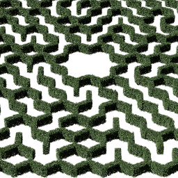 Hedge hexagonal big A summer