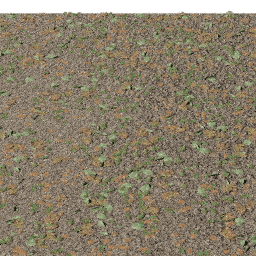 Misc Fallen Leaves B autumn