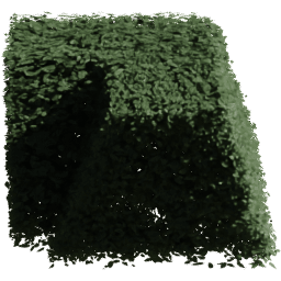 Carpinus betulus G summer