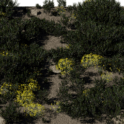 Shrubs Steppe B spring summer