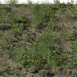Weeds Pasture B spring summer