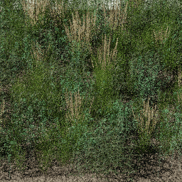 Weeds Riverbank B spring summer