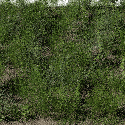 Weeds Swamp C spring summer