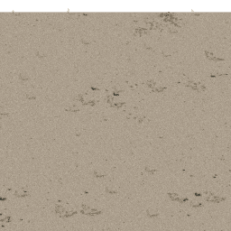 Desert AF A spring summer autumn