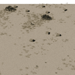 Desert AF B spring summer autumn