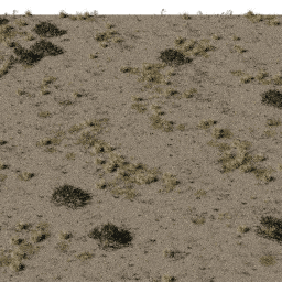 Desert SA B spring summer