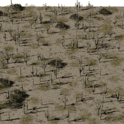 Desert SA C spring summer