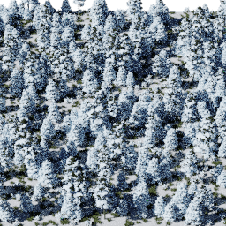 Forest EU con A winter