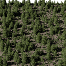 Forest EU con B spring summer autumn