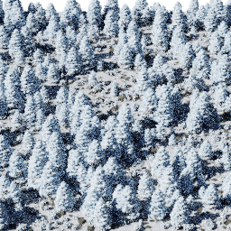 Forest EU con B winter