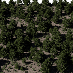 Forest EU con C spring summer autumn