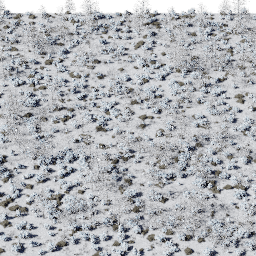 Forest EU con C winter