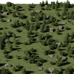 Forest EU con glade A spring summer