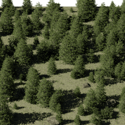 Forest EU con glade B spring summer