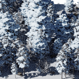 Forest NA con A winter