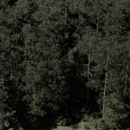 Forest NA con D spring summer autumn