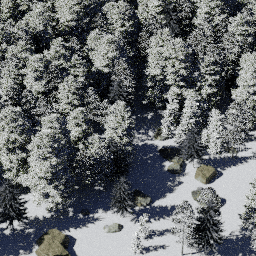 Forest NA con G winter