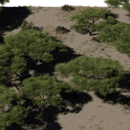 Forest AF dec A spring summer