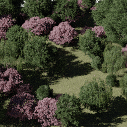 Forest AS dec A summer