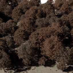 Forest EU dec A autumn