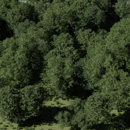 Forest EU dec A spring summer