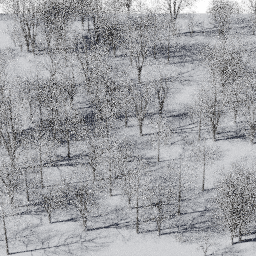 Forest EU dec A winter