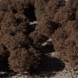 Forest EU dec B autumn