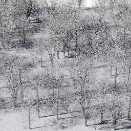 Forest EU dec B winter