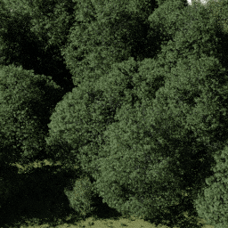 Forest EU dec E spring summer