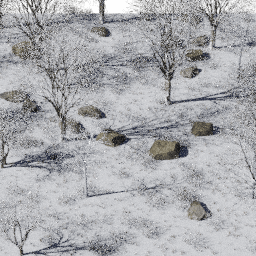 Forest EU dec glade A winter