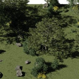 Forest EU dec glade B spring summer