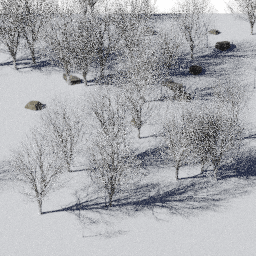 Forest NA dec J winter