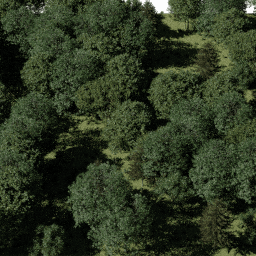 Forest EU mix A spring summer autumn