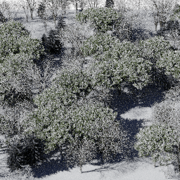 Forest EU mix A winter