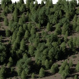 Forest EU mix B spring summer autumn