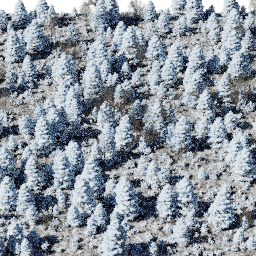 Forest EU mix B winter