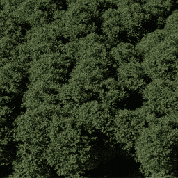 Forest EU mix C spring summer autumn