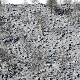 Forest EU mix C winter